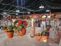 Succulent-Centerpiece
