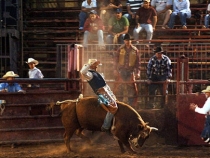 bull-riding-at-corona-ranch