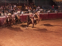 corona-ranch-rodeos