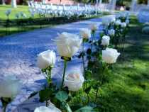 Gazebo Ceremony Roses