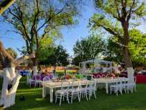 Outdoor Dinner