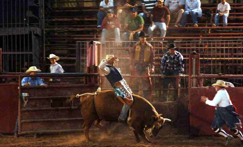 Western Bull Riding at Corona Ranch