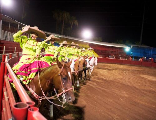Rodeo Show Ladies On Horses