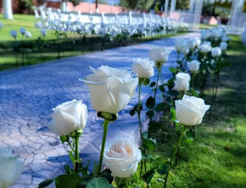 Wedding Pathway Roses Detail