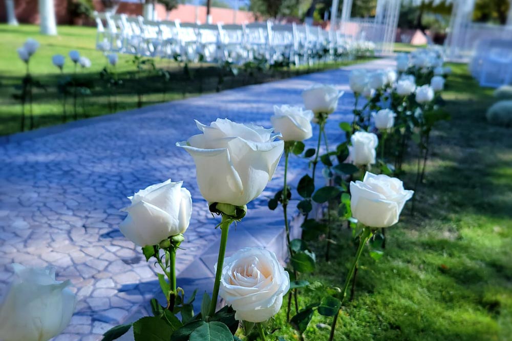 Corona Ranch Wedding Pathway Roses Detail